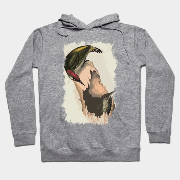 European green woodpecker Hoodie by Naumovski